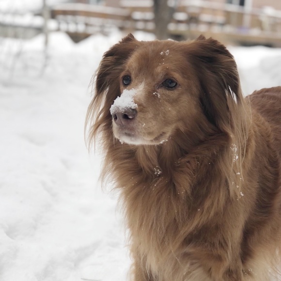 Meet your Posher, Lori - Picture 1 of 1